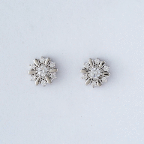 Silver Tops/Ear Rings