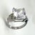 collection of silver rings